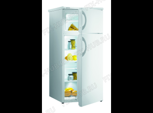Холодильник Gorenje RF3111AW (373978, HZS1856) - Фото